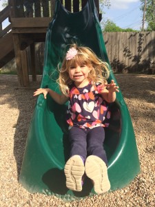 Going Down a Slide is Easy, so is giving to Highland Montessori School.