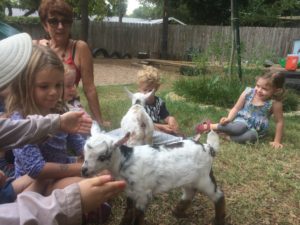 visited by goats