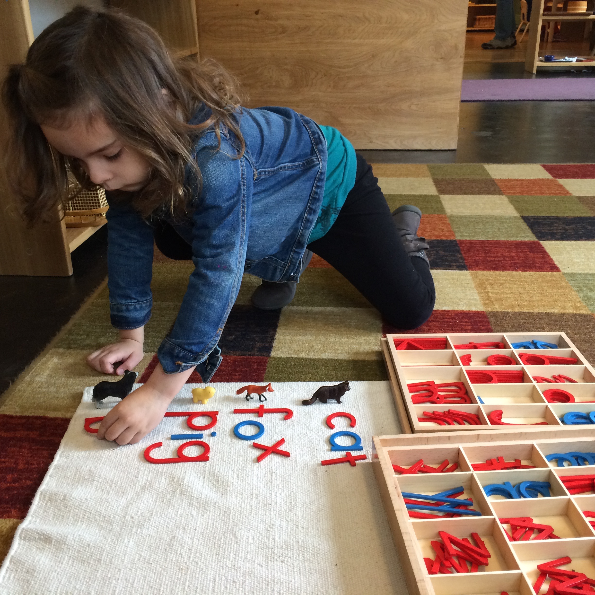 montessori-language-highland-montessori-school