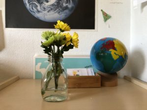 Flowers, globe